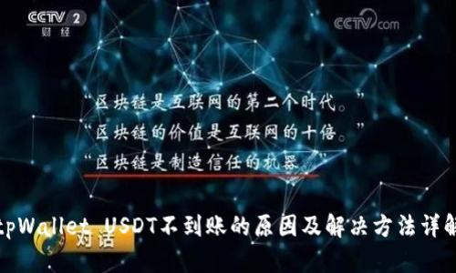 tpWallet USDT不到账的原因及解决方法详解