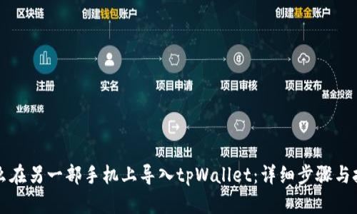 怎么在另一部手机上导入tpWallet：详细步骤与技巧