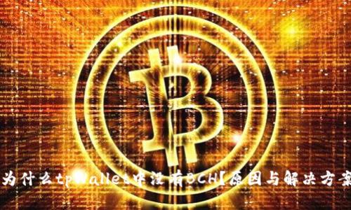 为什么tpWallet中没有BCH？原因与解决方案