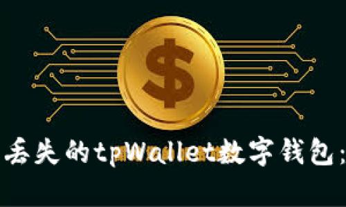 如何找回丢失的tpWallet数字钱包：详细指南