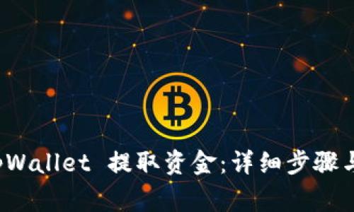 如何从 tpWallet 提取资金：详细步骤与注意事项