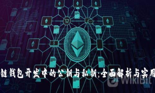 区块链钱包开发中的公钥与私钥：全面解析与实用技巧