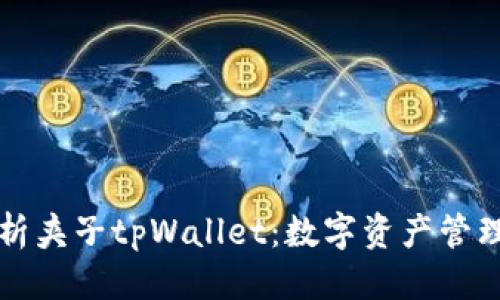 标题: 
“全面解析夹子tpWallet：数字资产管理新选择”