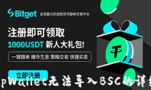 
解决tpWallet无法导入BSC的详细指南