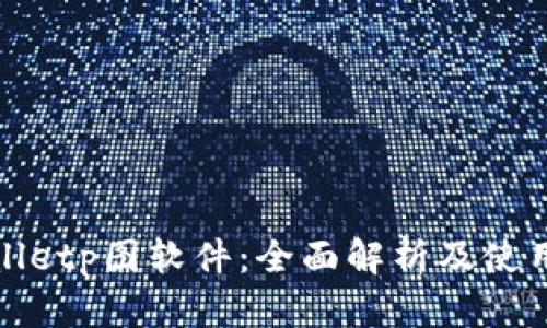 tpWalletp图软件：全面解析及使用技巧