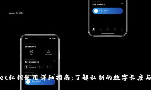 tpWallet私钥使用详细指南：了解私钥的数字长度与安全性