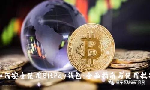 如何安全使用BitPay钱包：全面指南与使用技巧