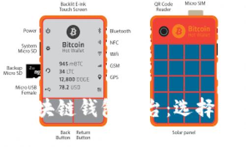 全球最大的区块链钱包平台：选择与安全性解析