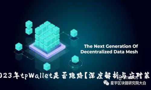 2023年tpWallet是否跑路？深度解析与应对策略