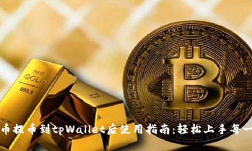 火币提币到tpWallet后使用指南：轻松上手每一步