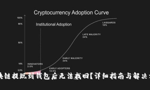 区块链提现到钱包后无法找回？详细指南与解决方案