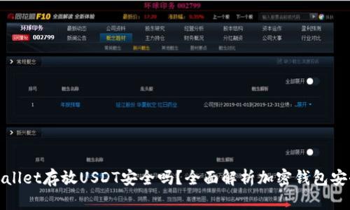 tpWallet存放USDT安全吗？全面解析加密钱包安全性