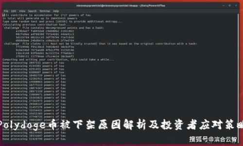Polydoge币被下架原因解析及投资者应对策略