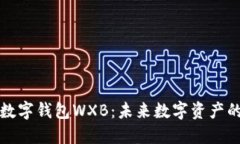 五行币数字钱包WXB：未来