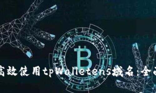 如何高效使用tpWalletens域名：全面指南