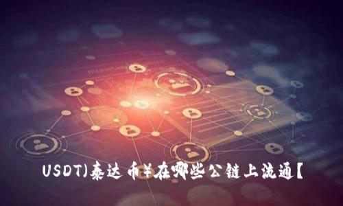 USDT（泰达币）在哪些公链上流通？