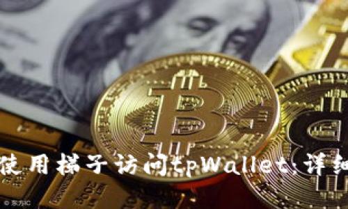 如何使用梯子访问tpWallet：详细指南