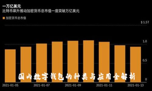 国内数字钱包的种类与应用全解析