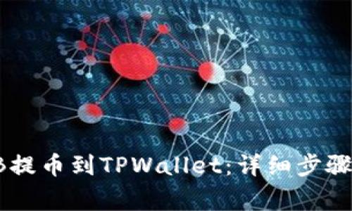 如何将SHIB提币到TPWallet：详细步骤与注意事项