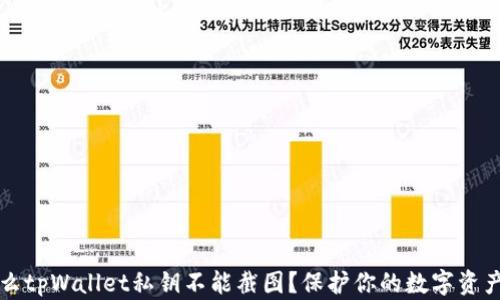 
为什么tpWallet私钥不能截图？保护你的数字资产安全