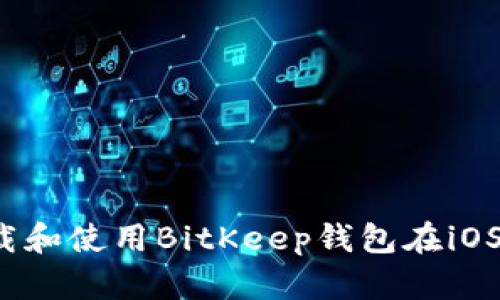 如何下载和使用BitKeep钱包在iOS设备上？