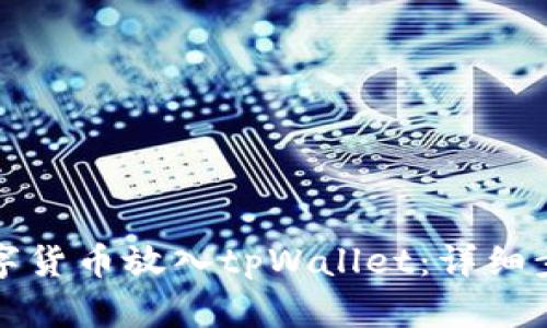 如何将数字货币放入tpWallet：详细步骤与技巧