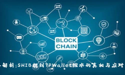 深入解析：SHIB提到TPWallet缩水的真相与应对策略