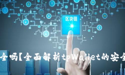 区块链tpWallet安全吗？全面解析tpWallet的安全性与使用注意事项