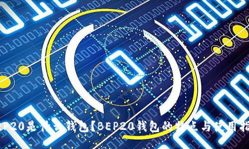 BEP20是什么钱包？BEP20钱包的特点与使用指南