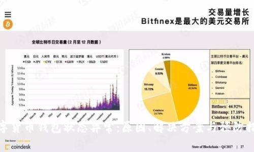 数字货币钱包状态异常：原因、解决方案与预防措施