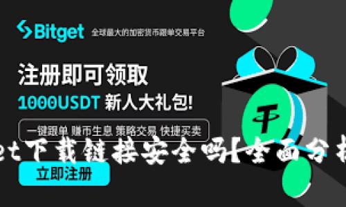 tpWallet下载链接安全吗？全面分析与指导