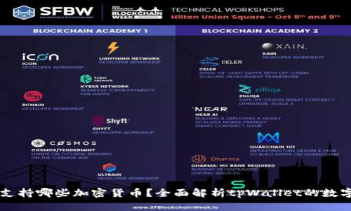 tpWallet支持哪些加密货币？全面解析tpWallet的数字资产种类