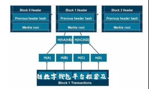 常见区块链数字钱包平台推荐及其特点解析