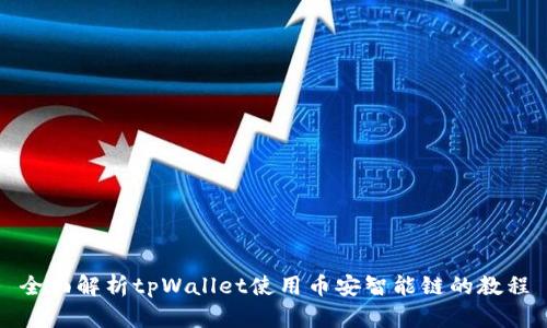 全面解析tpWallet使用币安智能链的教程