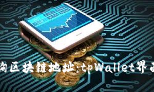 如何有效查询区块链地址：tpWallet界面的使用指南