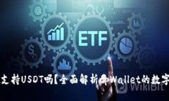 tpWallet支持USDT吗？全面解