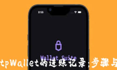 
如何查询tpWallet的进账记录：步骤与技巧解析