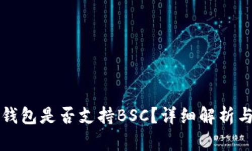 TP桌面版钱包是否支持BSC？详细解析与使用指南