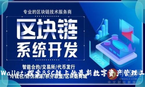 tpWallet：探索BSC链上的最新数字资产管理工具