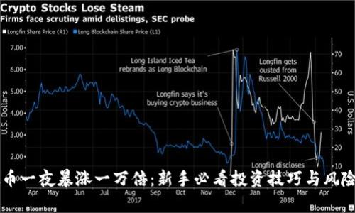 虚拟币一夜暴涨一万倍：新手必看投资技巧与风险分析