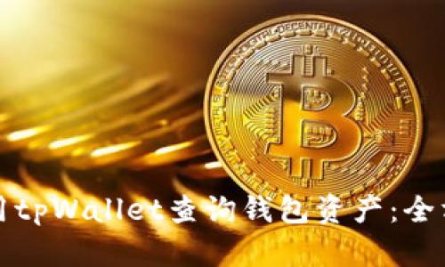 如何使用tpWallet查询钱包资产：全方位指南