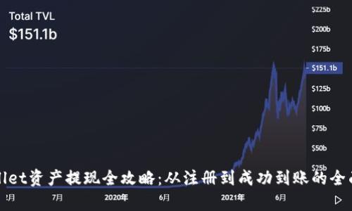 tpWallet资产提现全攻略：从注册到成功到账的全面指南