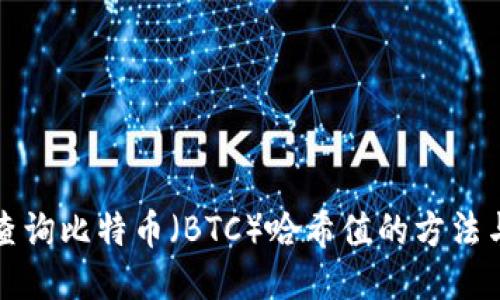 如何查询比特币（BTC）哈希值的方法与技巧