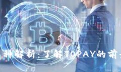 TOPAY币种解析：了解TOPAY的