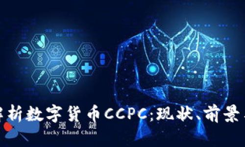 深入解析数字货币CCPC：现状、前景与风险