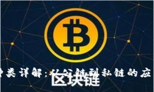 区块链种类详解：从公链到私链的应用与选择