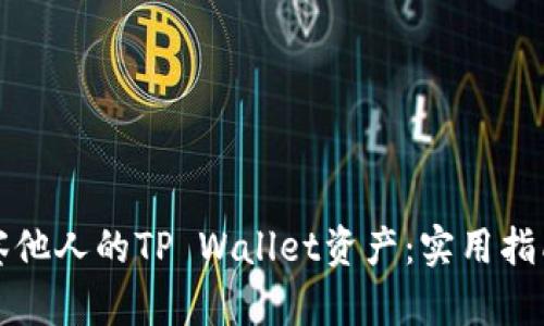 如何观察他人的TP Wallet资产：实用指南与技巧