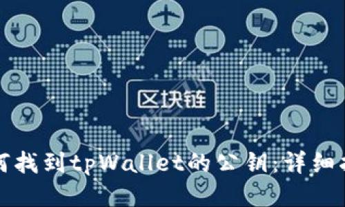 如何找到tpWallet的公钥：详细指南