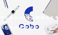 数字钱包是什么？全面解