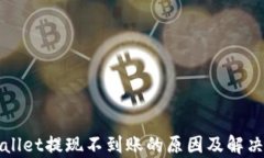 tpWallet提现不到账的原因及